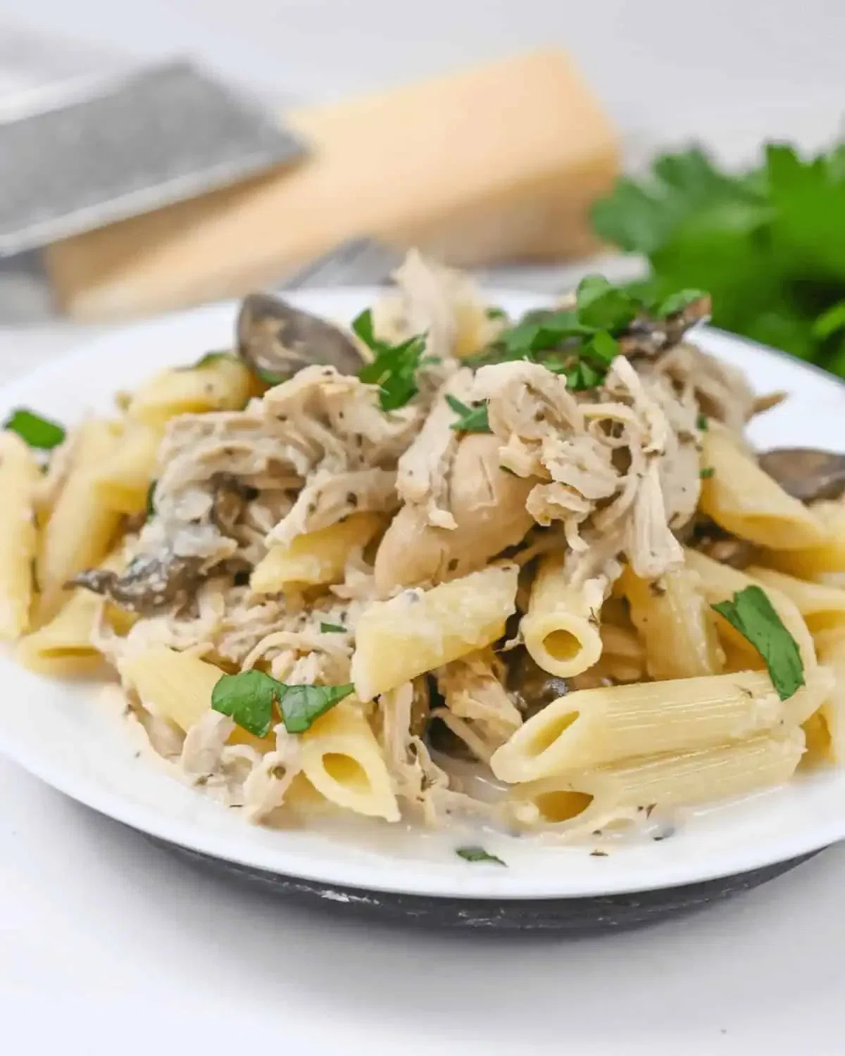 Creamy Slow Cooker Chicken Pasta