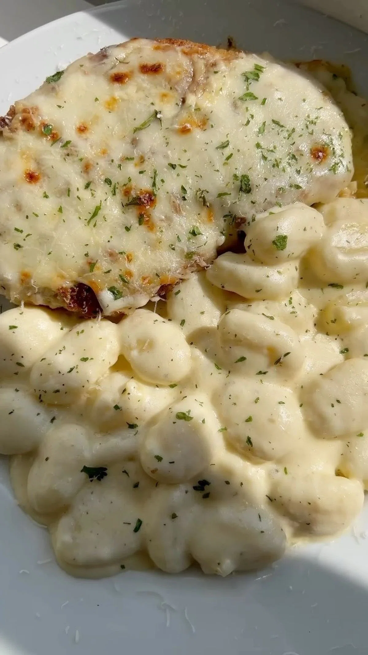Alfredo Chicken Parm Pasta
