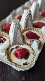 Frozen Raspberry Cottage Cheese Bites