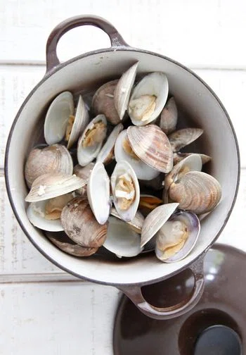 Clams with White Wine Sauce