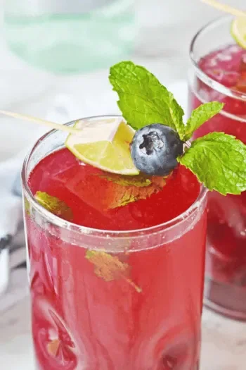 Blueberry Mojito