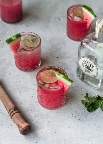 Watermelon Gin Fizz With Mint