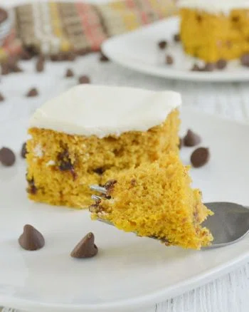 Pumpkin Chocolate Chip Cake